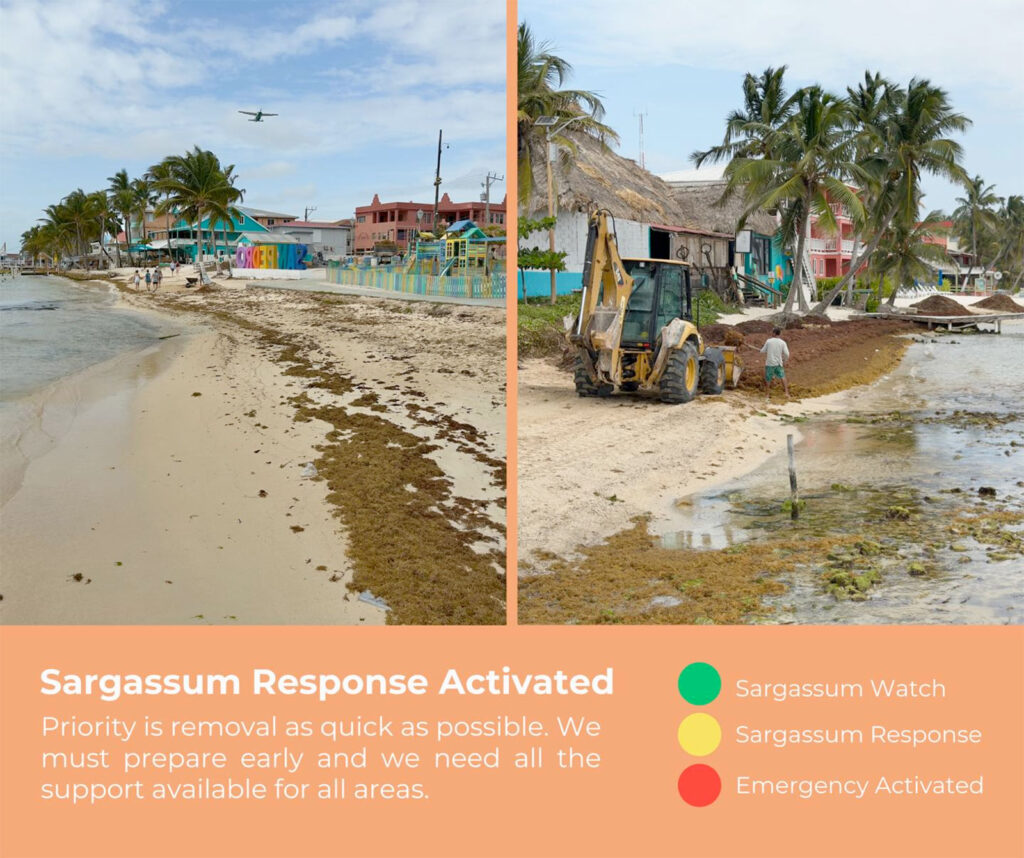 sargassum season starts early