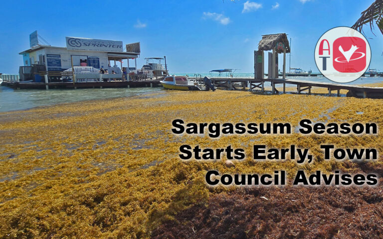 sargassum season starts early