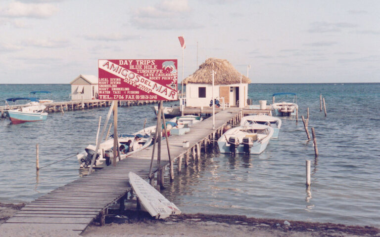 flashback friday amigos del mar