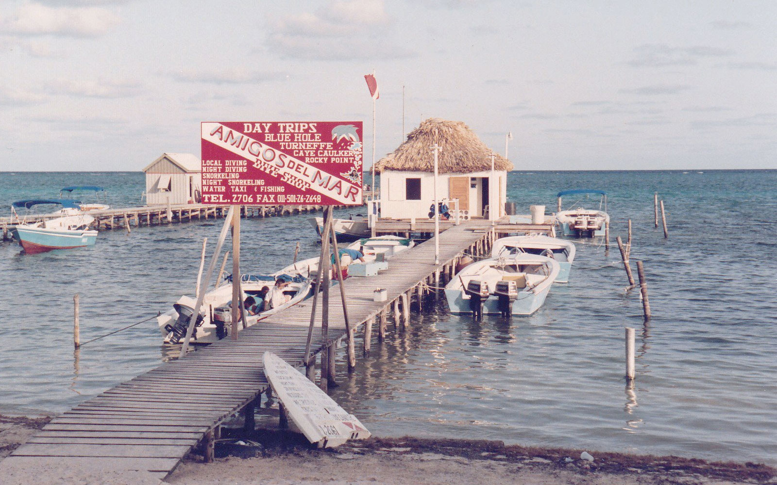 flashback friday amigos del mar