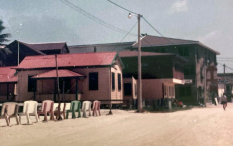 flashback friday central park