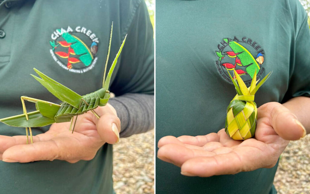 chaa creek weaved palm art