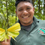 chaa creek weaved palm art