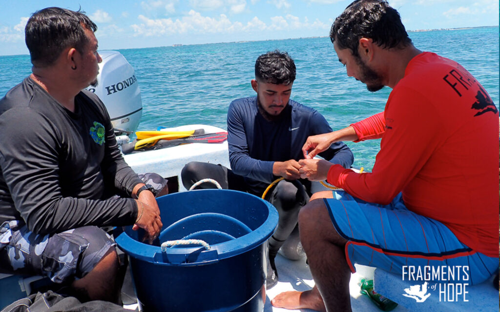 fragments of hope coral nursery hol chan