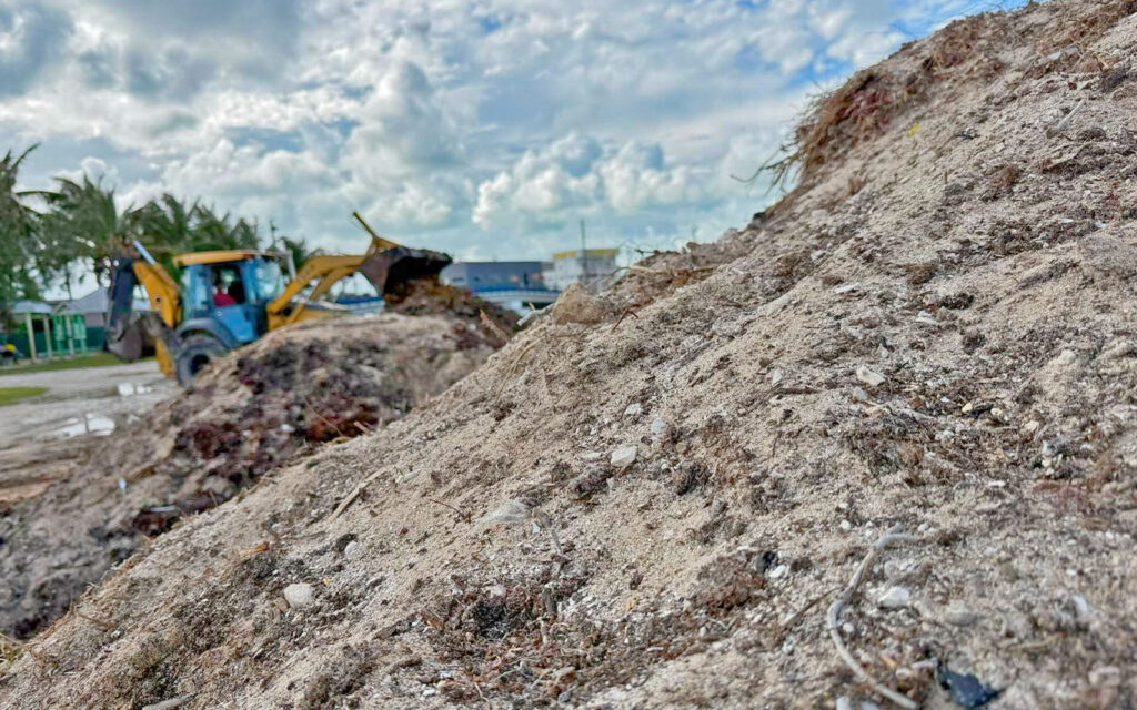 building beaches with sargassum