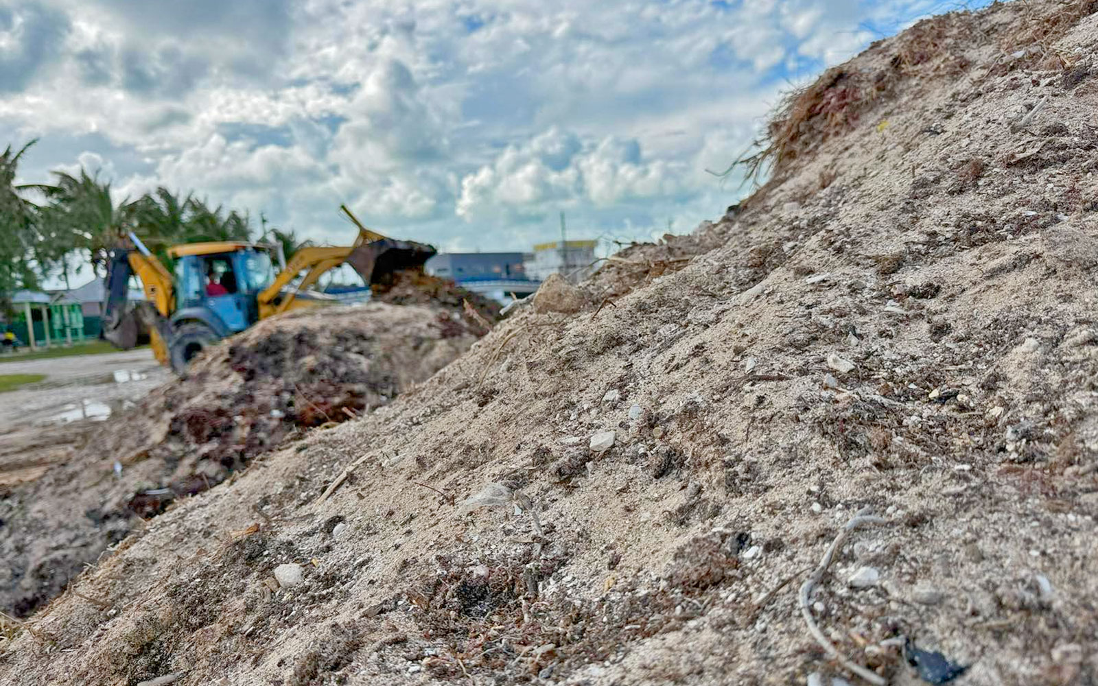 building beaches with sargassum