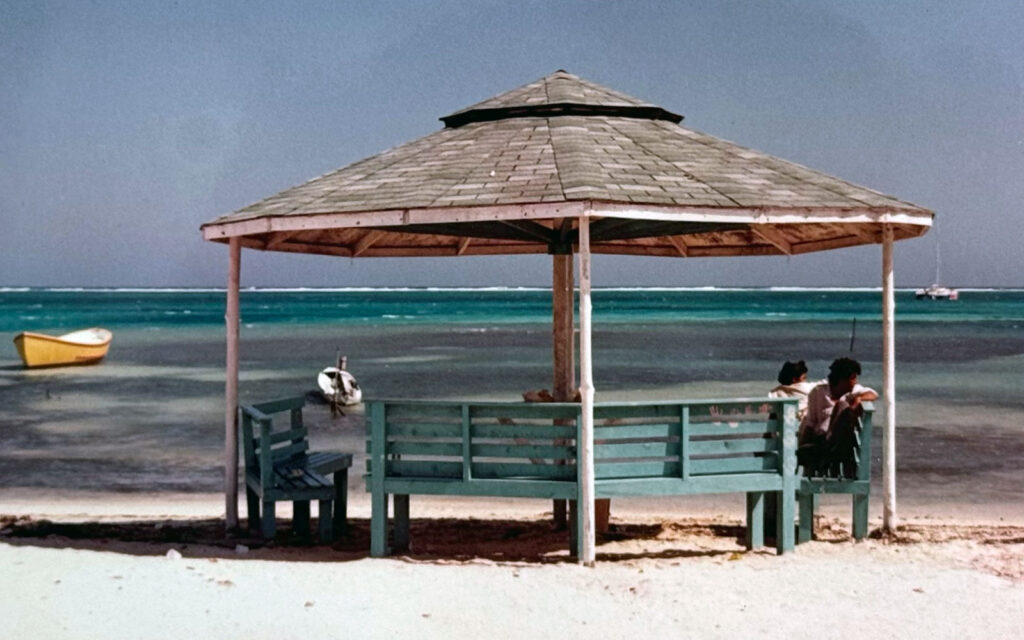 flashback friday central park palapa