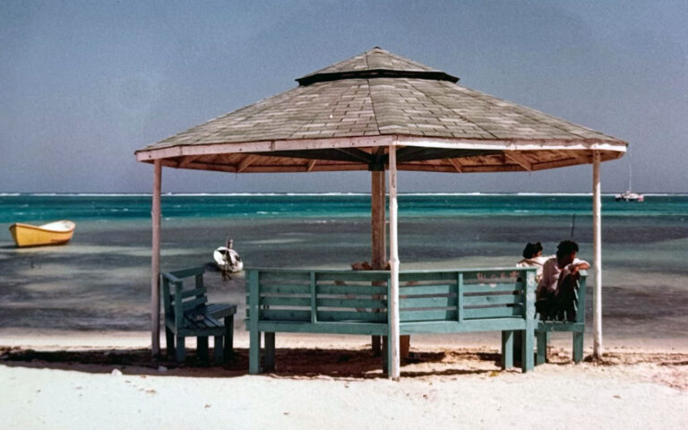 flashback friday central park palapa
