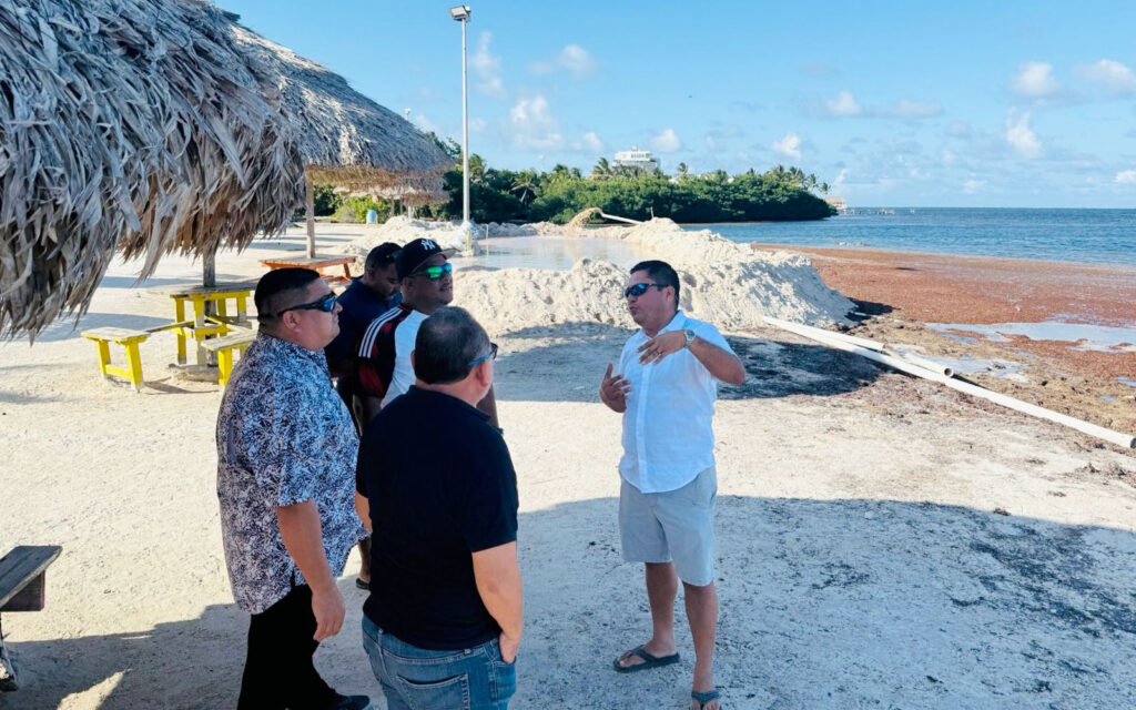 sargassum slayer victoria house