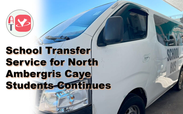school van transfer service