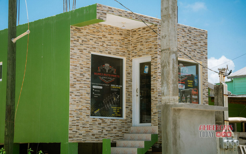 dfcity dfc area san pedro city