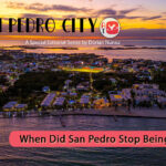 san pedro city aerial town view