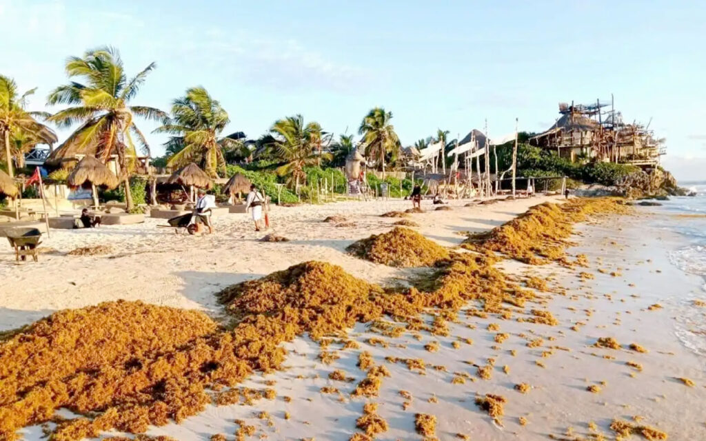 Is San Pedro the Next Tulum? How Can We Avoid their Tourism Downfall? 4 tulum san pedro tourism