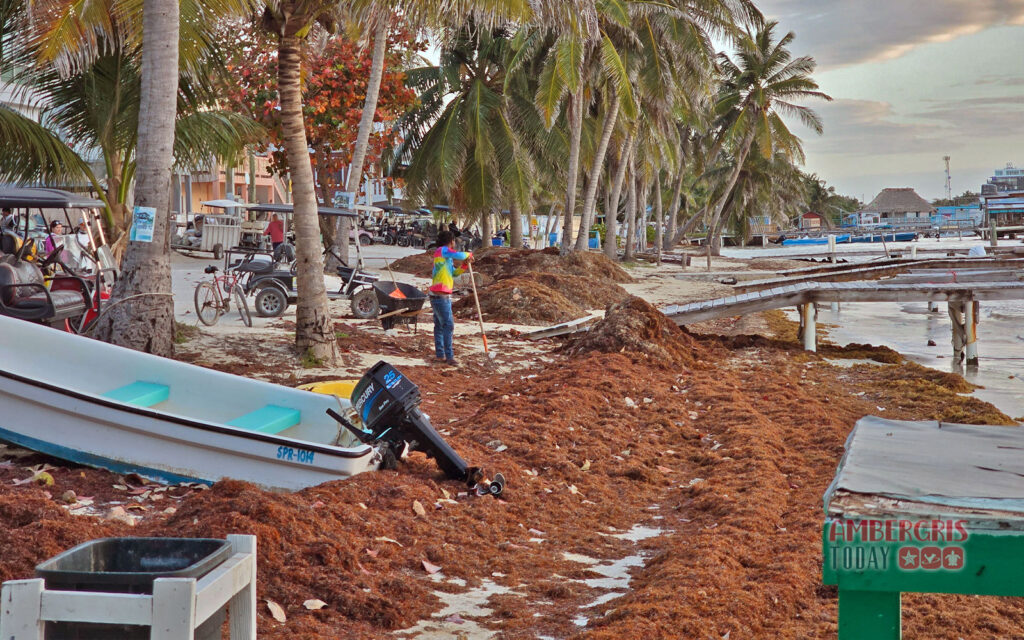 Is San Pedro the Next Tulum? How Can We Avoid their Tourism Downfall? 5 tulum san pedro tourism