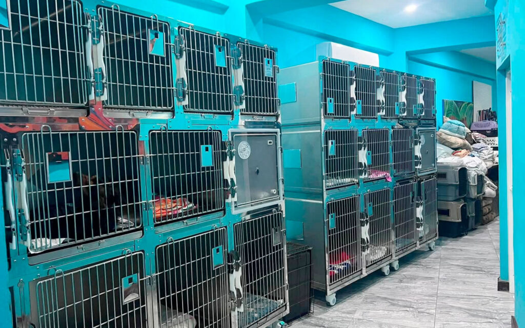 saga humane society cattery kennel donation