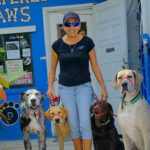 pampered paws 25 anniversary kathy marin