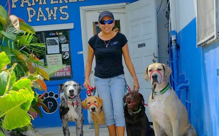 pampered paws 25 anniversary kathy marin