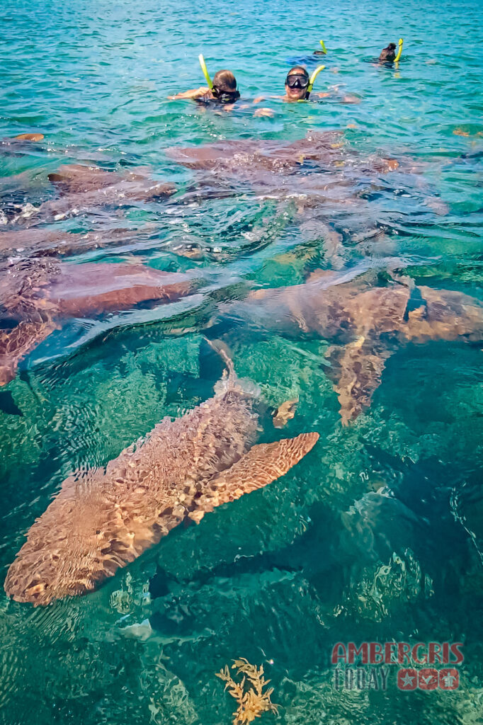 san pedro city tourism capital belize