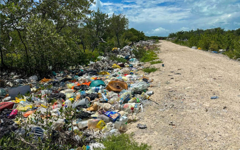 tourism season trash north ambergris caye