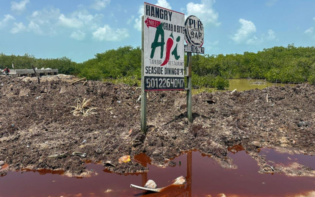 Tourism Season Approaches as North Ambergris Residents Demand Action on Trash 3 tourism season trash north ambergris caye
