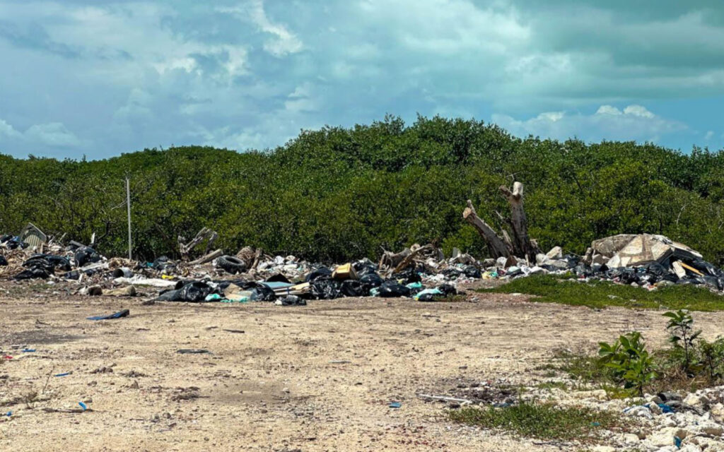 Tourism Season Approaches as North Ambergris Residents Demand Action on Trash 2 tourism season trash north ambergris caye